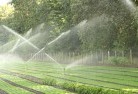 Cooloolabinlandscaping-water-management-and-drainage-17.jpg; ?>